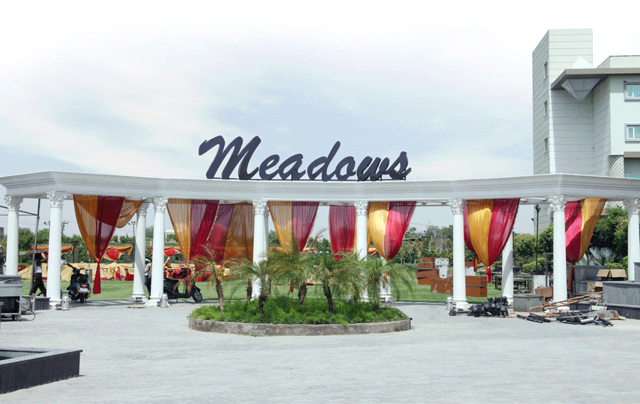 Meadows