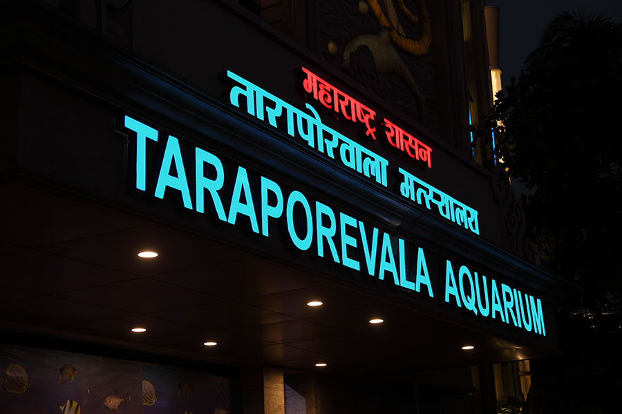 Taraporewala Aquarium (2)