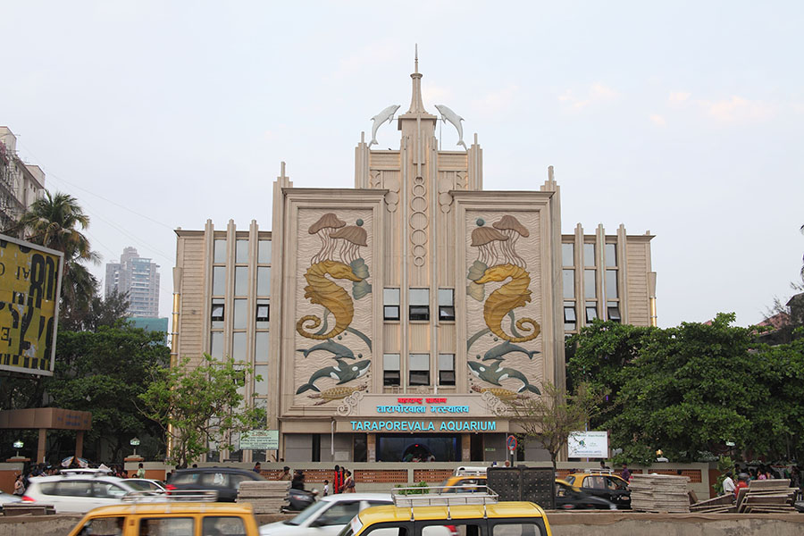 Taraporewala Aquarium (3)