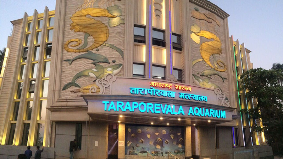 Taraporewala Aquarium (5)